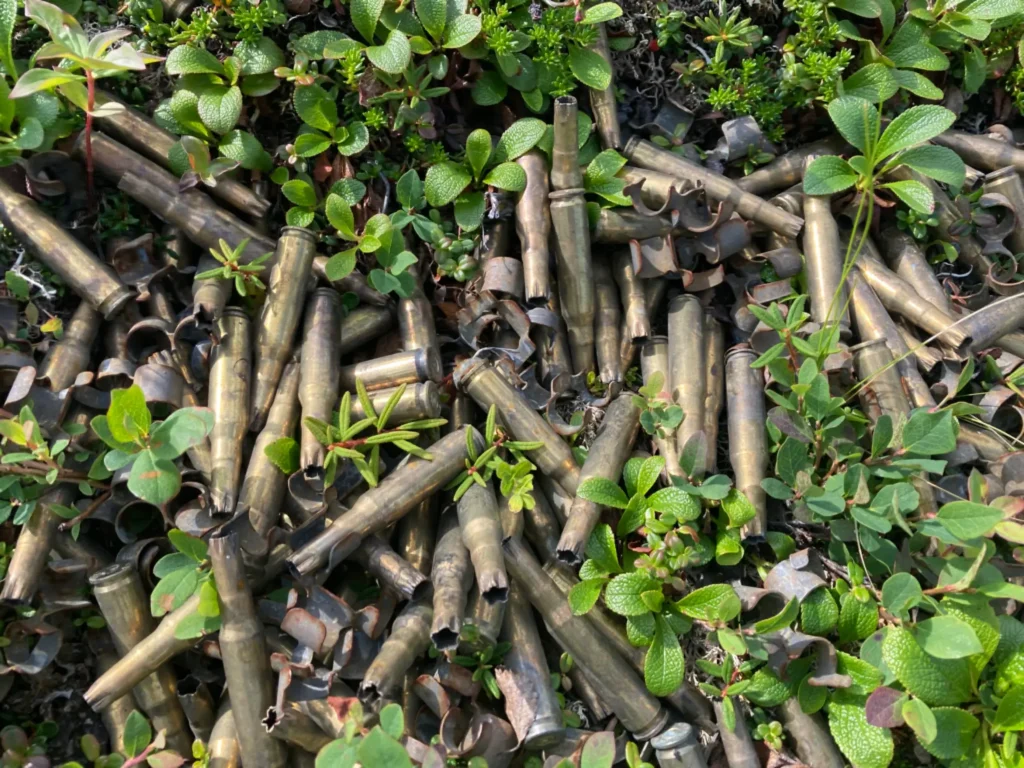 empty bullet cases piled up on the ground