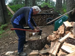 Cecil cutting woods next to piles of chopped logs